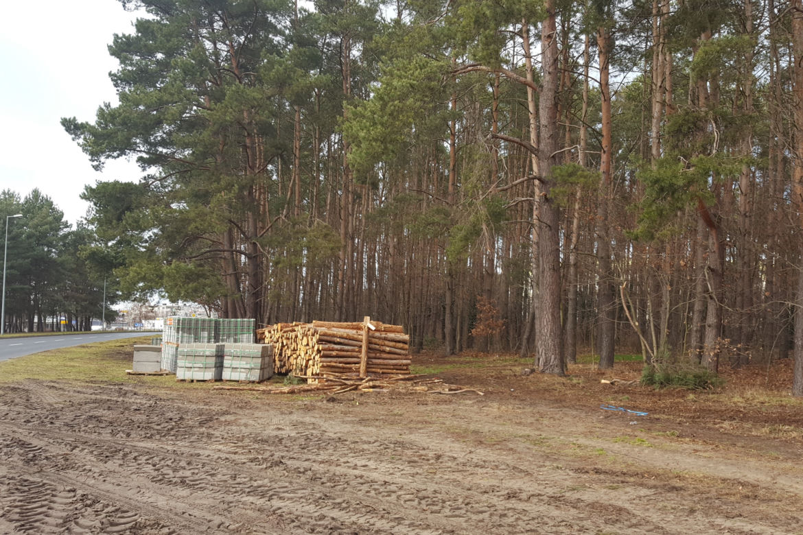 Na osiedlu Rejtana trwa budowa pętli autobusowej. Gotowa ma być do końca marca