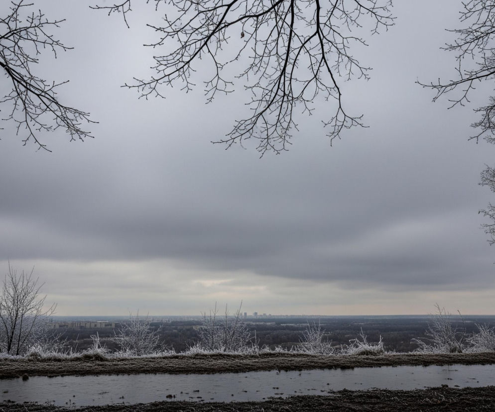 Scena przedstawia rozległy zimowy krajobraz z panoramą miasta na horyzoncie, ukazany z podwyższonego punktu widokowego. U góry kadru, od lewej do prawej, rozpościerają się ciemne, nagie gałęzie drzew, tworząc naturalną ramę dla szarego, zachmurzonego nieba. Na pierwszym planie widoczna jest kałuża wody lub niewielki zamarznięty zbiornik wodny, otoczony ciemną, nierówną ziemią pokrytą drobnym, białym szronem. Bezpośrednio za zbiornikiem, na linii horyzontu wzgórza, rosną mniejsze krzewy i drzewka, obficie pokryte białym szronem, kontrastujące z ciemniejszym tłem. Dalej rozciąga się rozległa, ciemna przestrzeń lasów i pól, a na odległym horyzoncie widoczne są wieżowce i zabudowania miejskie, zlewające się z szarym niebem. Całość kompozycji utrzymana jest w chłodnych, stonowanych odcieniach szarości, bieli i brązu, oddając zimową, ponurą atmosferę.