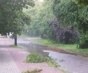 Gwałtowna burza nad Olsztynem - połamane drzewa