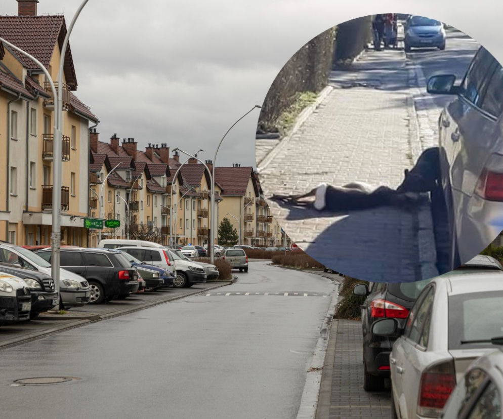 Zagryziona sarna, biegające luzem groźne psy. Psychoza na Brochowie we Wrocławiu 