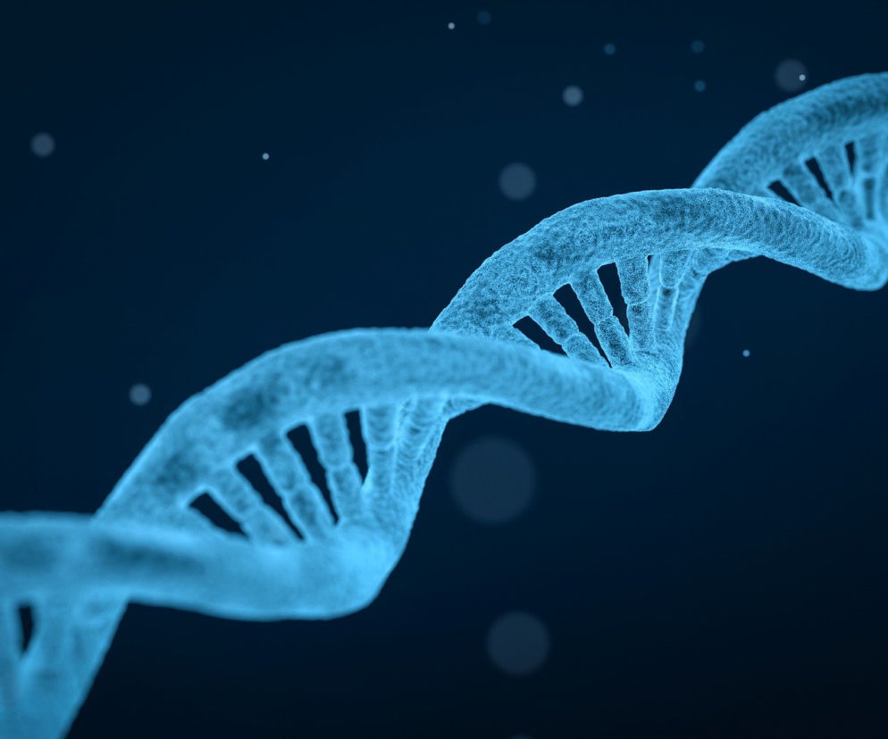 UMCS organizuje powtórkę przed maturą z biologii