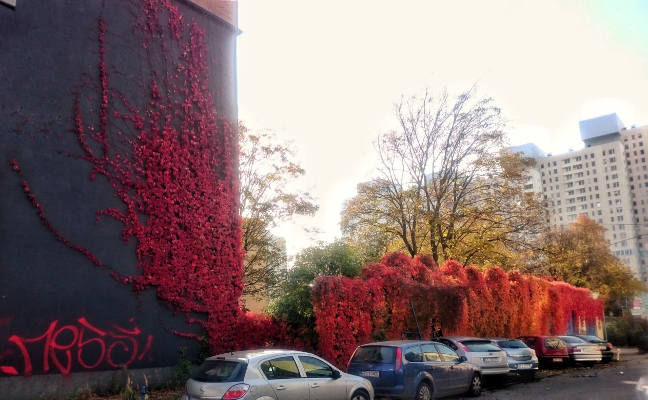 2 Przy parkingu na przeciwko Galerii Łódzkiej