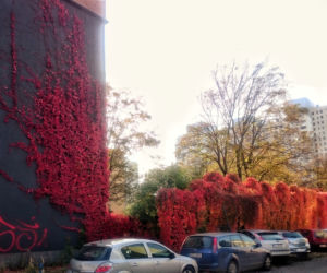 2 Przy parkingu na przeciwko Galerii Łódzkiej