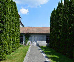 Szpalery ogrodowe