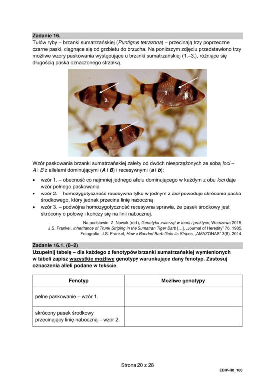 Matura 2024: biologia rozszerzona ARKUSZ FORMUŁA 2015