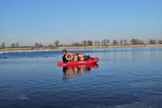 50 martwych łabędzi w Jutrosinie. Dlaczego padły? [ZDJĘCIA]