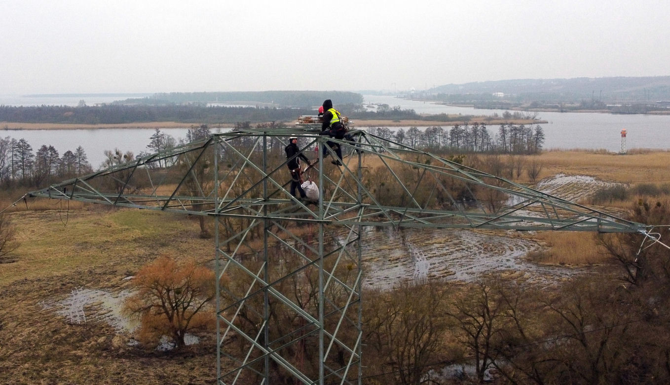 Montaż platformy lęgowej dla rybołowów w Nadleśnictwie Kliniska w okolicach miejscowości Inoujście 