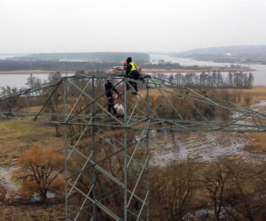 Montaż platformy lęgowej dla rybołowów w Nadleśnictwie Kliniska w okolicach miejscowości Inoujście 