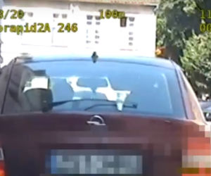 Efektowny pościg ulicami Torunia. Policjanci dorwali recydywistę