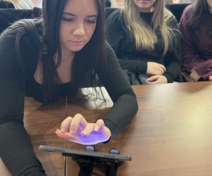 Siedlce walczą z botami! Mazowsze mówi „sprawdzam!”