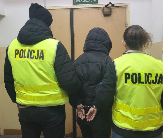 Podejrzana usłyszała już 18 zarzutów