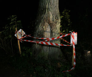 Szerszenie pogryzły biegaczy