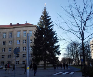 Choinka na Placu Grunwaldzkim