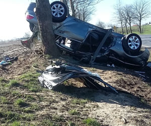 Kierowca BMW uderzył w drzewo w gminie Lubicz