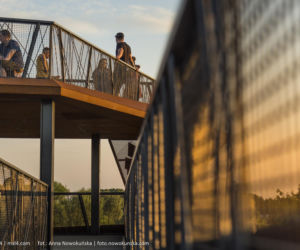 Most Europejski na Odrze w Siekierkach