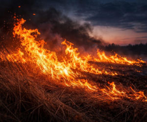 66-latek wypalał trawy. Z siekierą i widłami pilnował pożaru. W ruch poszły kamienie