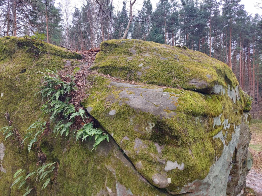 Rezerwat Przyrody "Skały pod Adamowem"