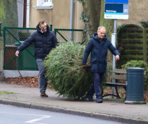 Donald Tusk z zięciem dźwigają gigantyczną choinkę. A za nimi drepcze Kasia z drugą. Wnusie premiera jak księżniczki