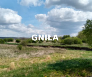 Gniła