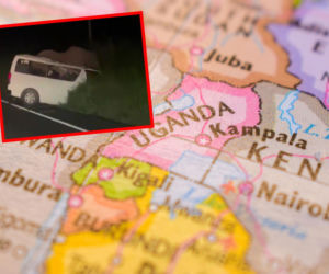 Urzędnicy skarbówki zderzyli się ze słoniem! Trzy osoby nie żyją