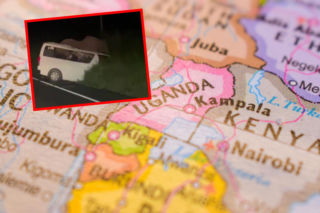 Urzędnicy skarbówki zderzyli się ze słoniem! Trzy osoby nie żyją