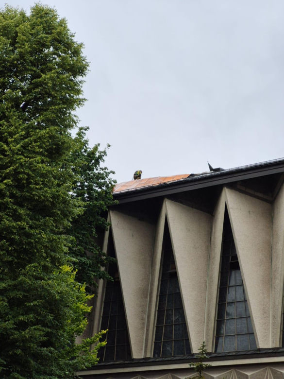 Skutki nawałnic w powiatach brzeskim i tarnowskim z 7 lipca 2025 roku