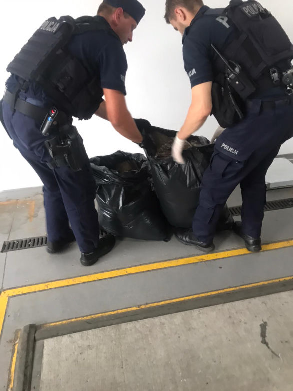 Toruń: Akcja policjantów z Bydgoszczy w naszym mieście. Zatrzymali dwóch mieszkańców Malborka