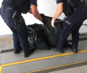 Toruń: Akcja policjantów z Bydgoszczy w naszym mieście. Zatrzymali dwóch mieszkańców Malborka