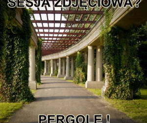 Typowy Wrocławianin