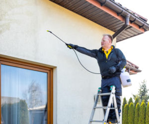 Murator Ogroduje, realizacje