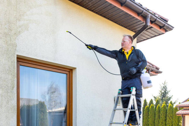 Murator Ogroduje, realizacje