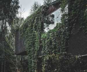 Jungle House - dom wśród drzew