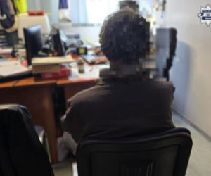 Wandal w rękach policji