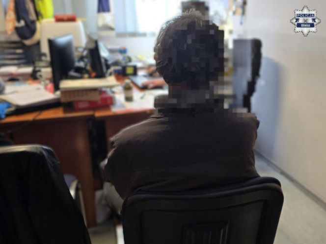 Wandal w rękach policji