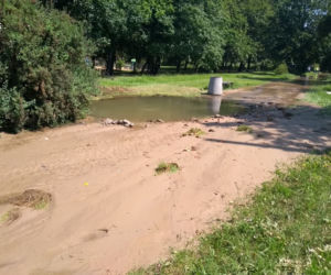 Park Skaryszewski pod wodą. Pękła rura wodociągowa