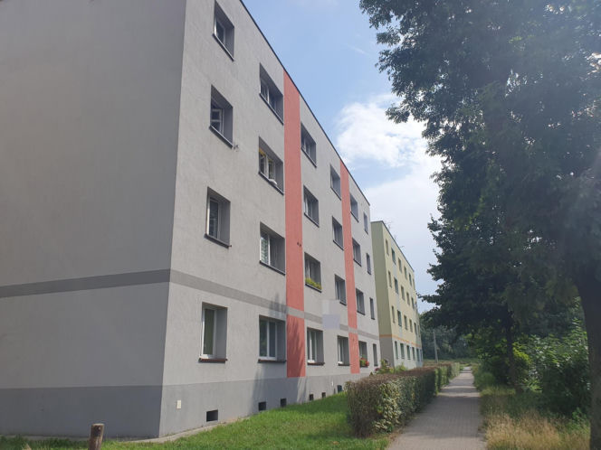 Mateusz rzucił monetą. Wypadł orzeł, więc udusił Wiktorię