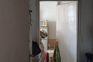 Żyła w mieszkaniu z chmarą gołębi. Służby weszły do środka i oniemiały!