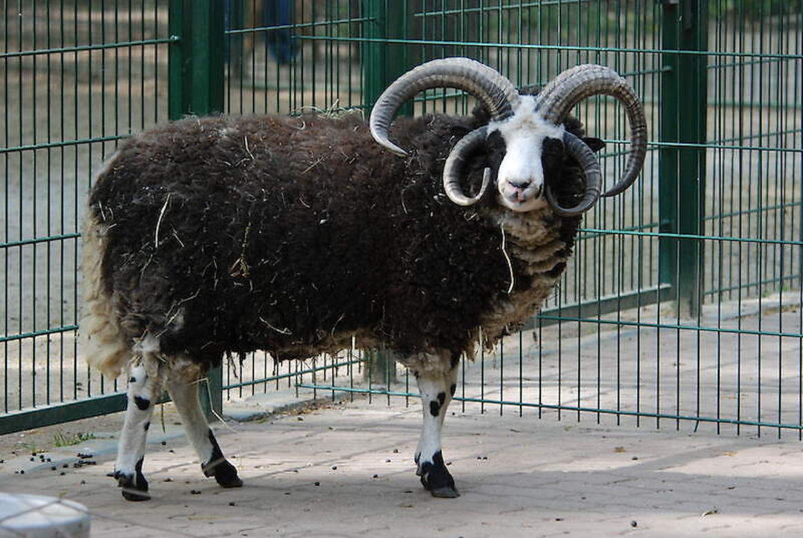 Tierpark Cottbus