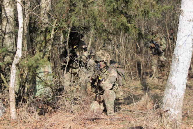 Brytyjscy żołnierze, ćwiczenia na poligonie
