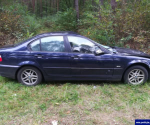 Łoś zderzył się z BMW, sarna uszkodziła dwa auta. Niebezpieczne zdarzenia na mazurskich drogach [ZDJĘCIA]