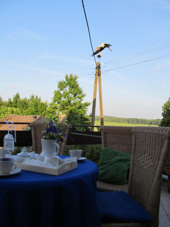 kolorowo i pachnąco - balkon latem 2014 zdjecie nr 7