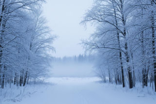 Zima uderza w Polskę. Gdzie temperatura spadnie do -9 stopni i co czeka Bieszczady?