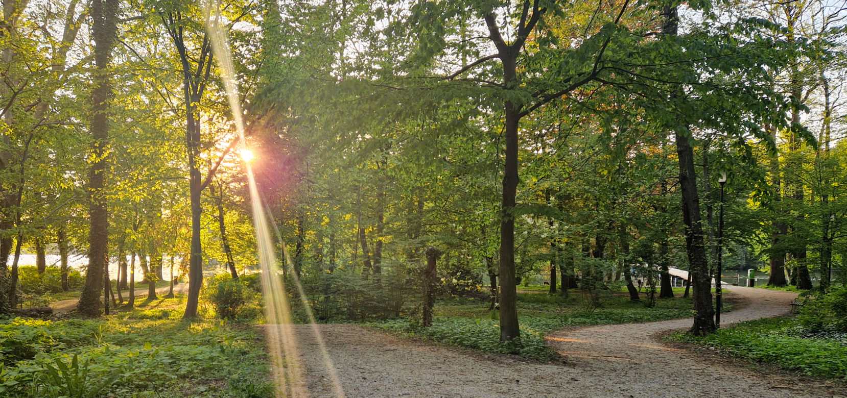 Park Miłości w Lubniewicach