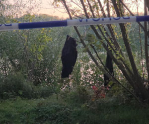 Z wędką podszedł nad Wisłę. Zamiast ryb znalazł ciało