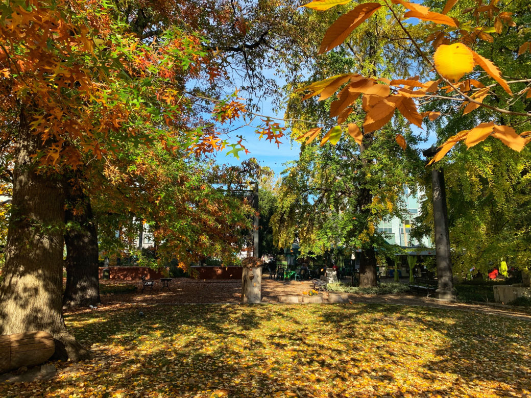 Jesień w ogrodzie botanicznym we Wrocławiu