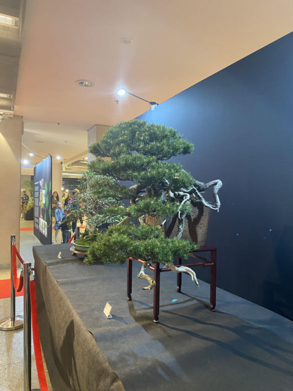"Potworne Cuda", Światowa Wystawa Orchidei, Bonsai i Sukulentów oraz targi roślin na PGE Narodowym