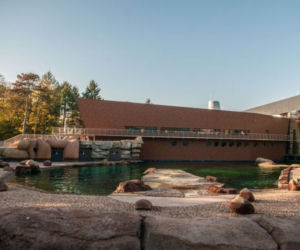 afrykarium wrocław