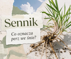 Perz we śnie: znaczenie snu. Kiedy to znak problemu, a kiedy porządków
