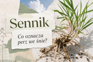 Perz we śnie: znaczenie snu. Kiedy to znak problemu, a kiedy porządków