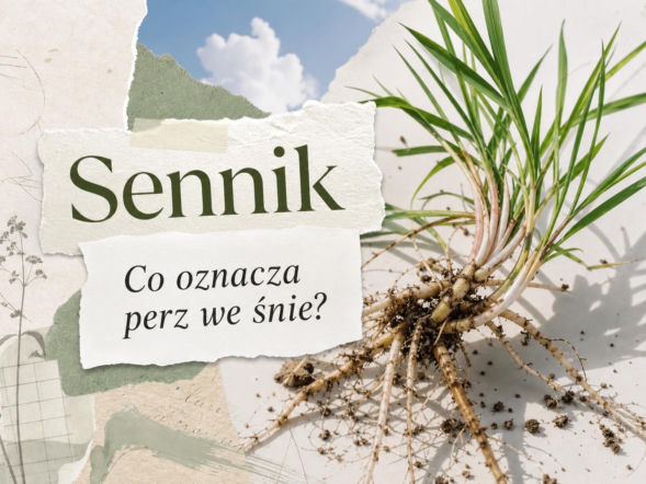 Perz we śnie: znaczenie snu. Kiedy to znak problemu, a kiedy porządków